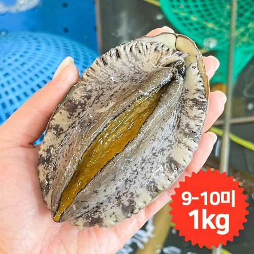 완도청정마켓[청산바다] 대복 9-10미 1kg 활전복[청산바다] 대복 9-10미 1kg 활전복(주)청산바다기본트렌드