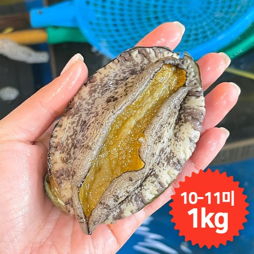 완도청정마켓[청산바다] 소복 20-22미 1kg 활전복[청산바다] 소복 20-22미 1kg 활전복(주)청산바다기본트렌드